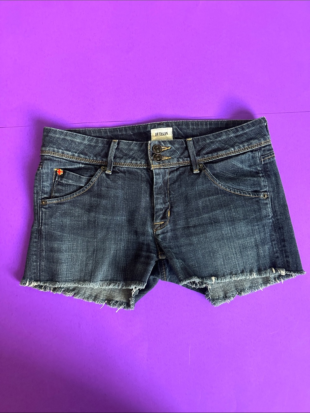 Hudson Jeans Dark Wash Frayed Denim Cutoff Shorts - size 29